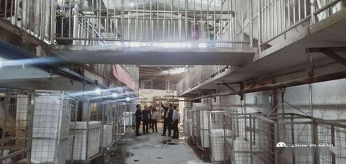 綠色包裝與節(jié)能保溫材料項(xiàng)目成功簽約，金屬裝飾材料零售市場(chǎng)迎新機(jī)